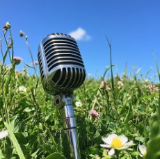 picnic mic